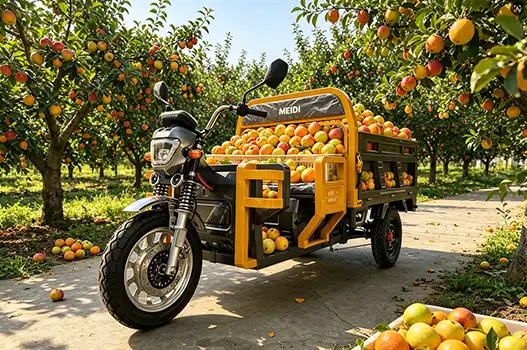 EEC Creative Design Electric Cargo Tricycle with Folding Seat: Features and Benefits